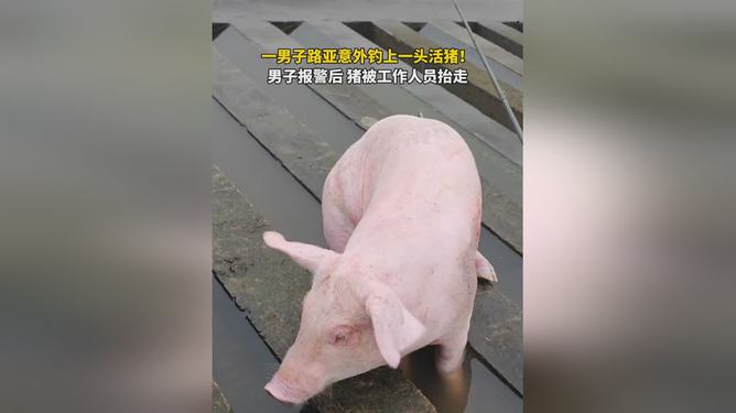2025年1月22日 第54頁