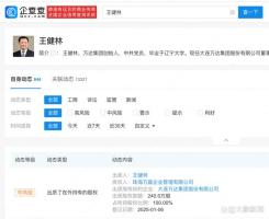 王健林出質(zhì)大連萬達(dá)集團(tuán)所有股權(quán)