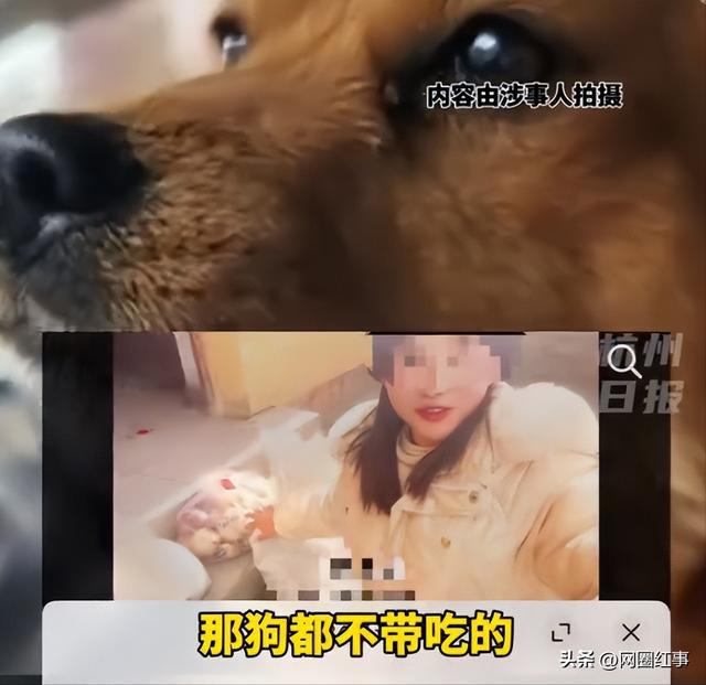 撿無人區(qū)救命糧喂狗網(wǎng)紅賬號被封,實時解析數(shù)據(jù)_娛樂版52.52.67